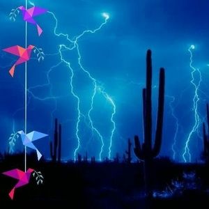 Meet your Posher, Lexie